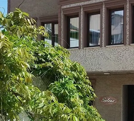 سيلينا 2*