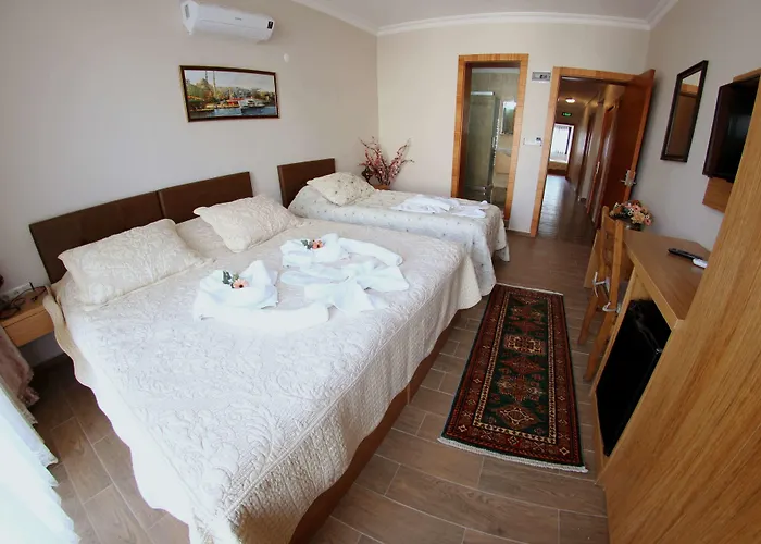 セレナ 2* セルチュク