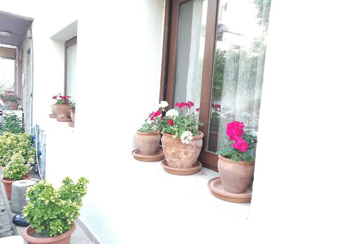 セレナ 2* セルチュク