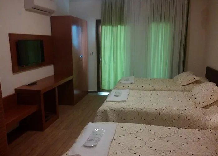 セレナ セルチュク