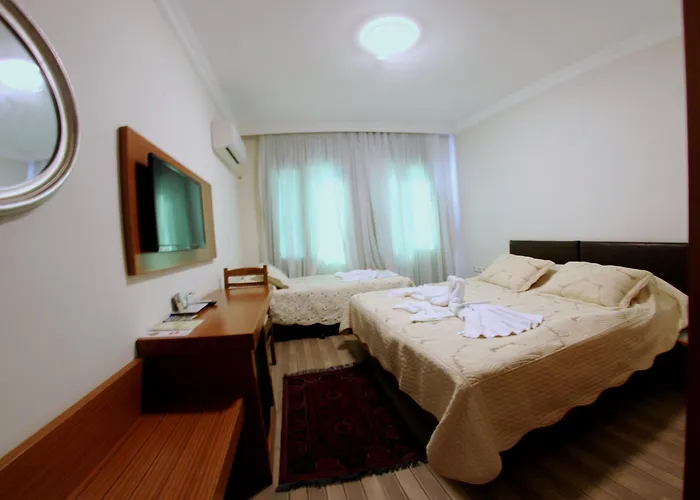 セレナ 2* セルチュク