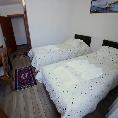 فندق سيلينا 2*