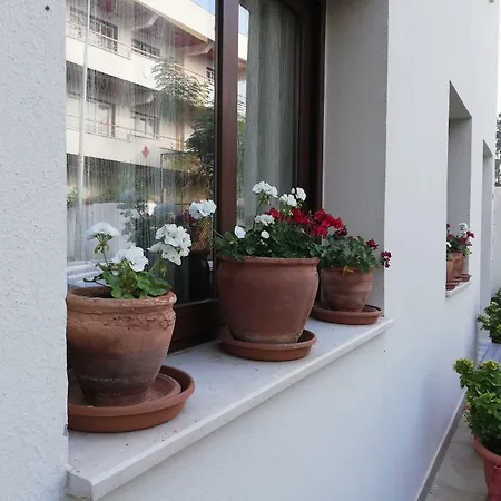Hotel Selena 2*