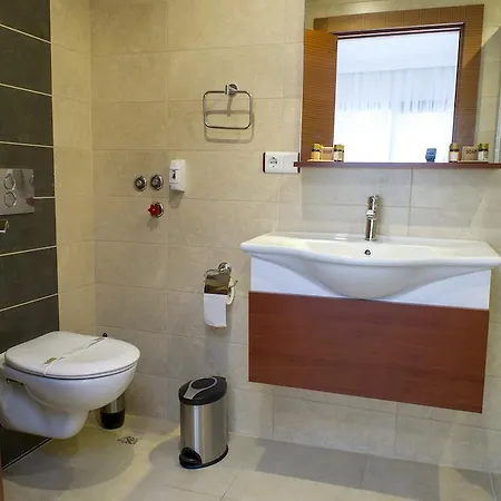 سيلينا فندق