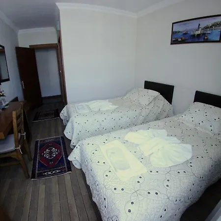 فندق سيلينا