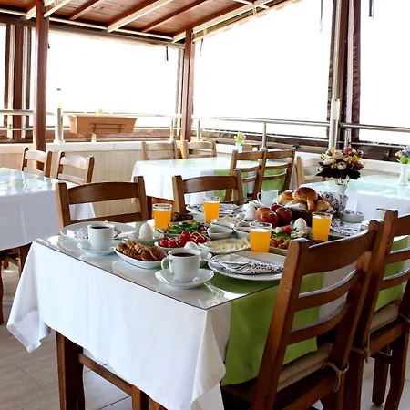 سيلينا سلجوك